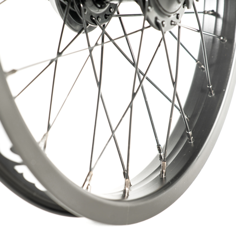 Pintour 16インチ Rear Wheel3