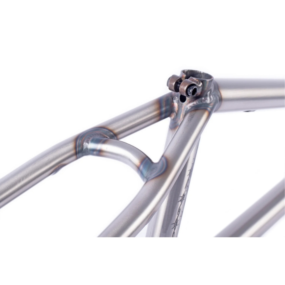 CHASE DEHART SIG FRAME6