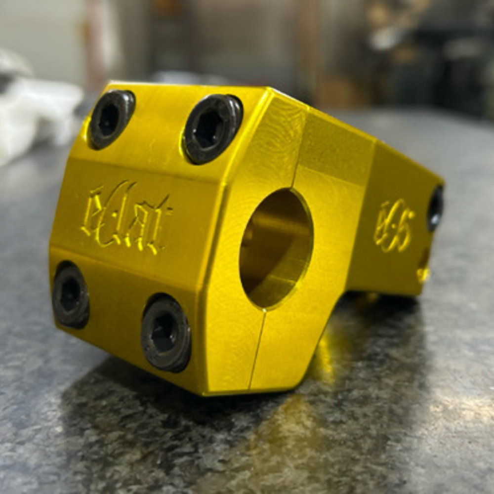 E06 STEM10