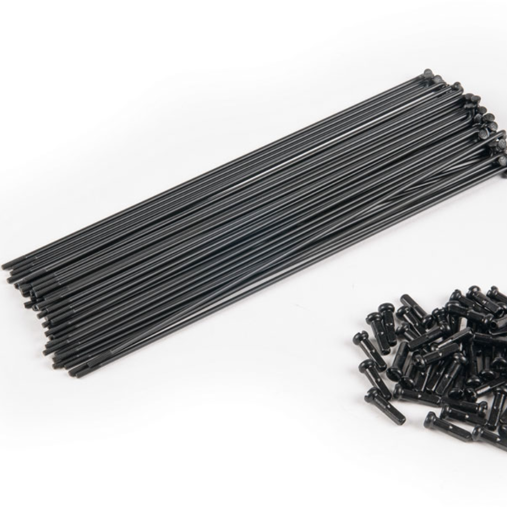 DOUBLE BUTTED SPOKES 40本