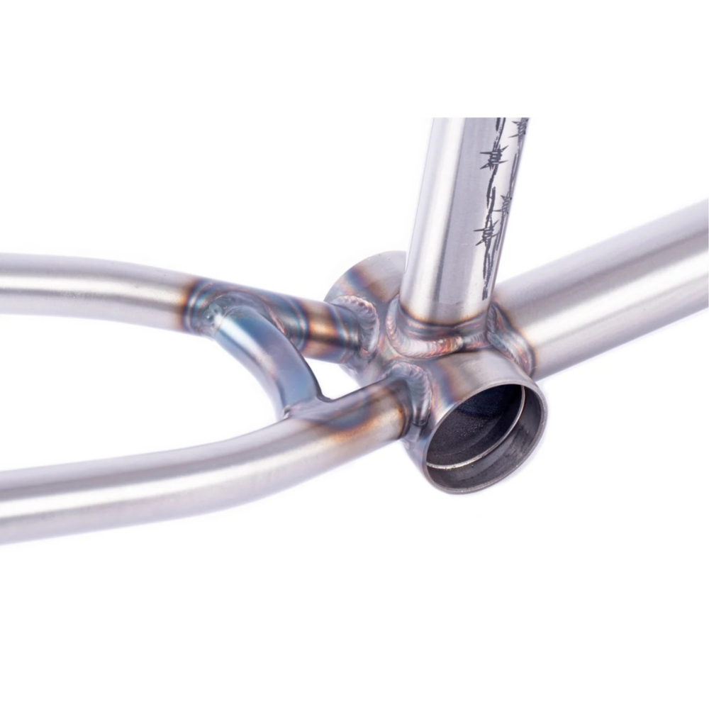 CHASE DEHART SIG FRAME7