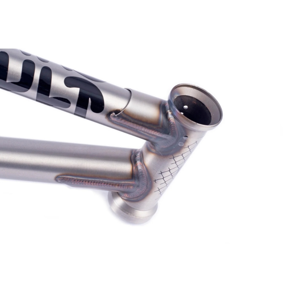 CHASE DEHART SIG FRAME4