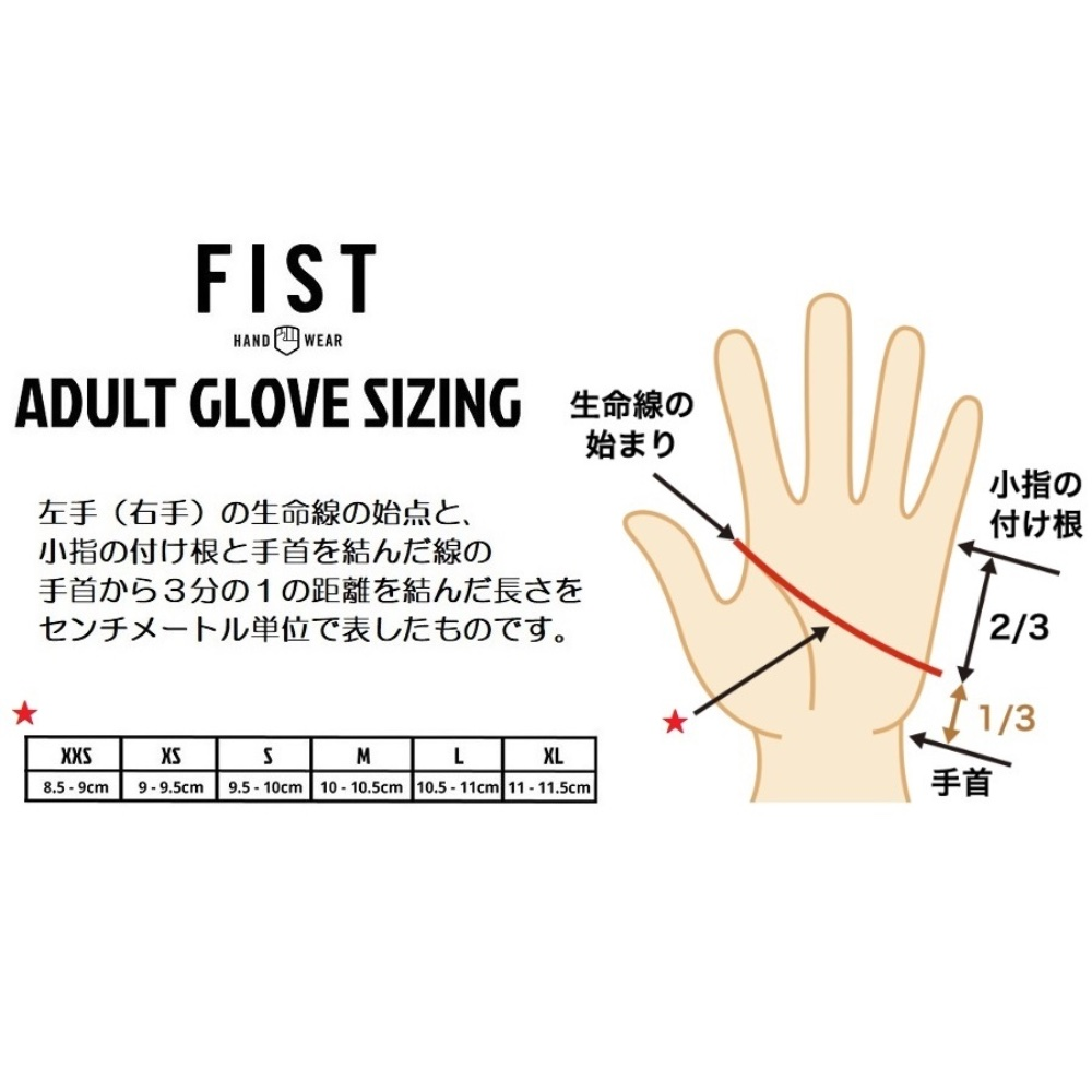 FIST グローブ 211